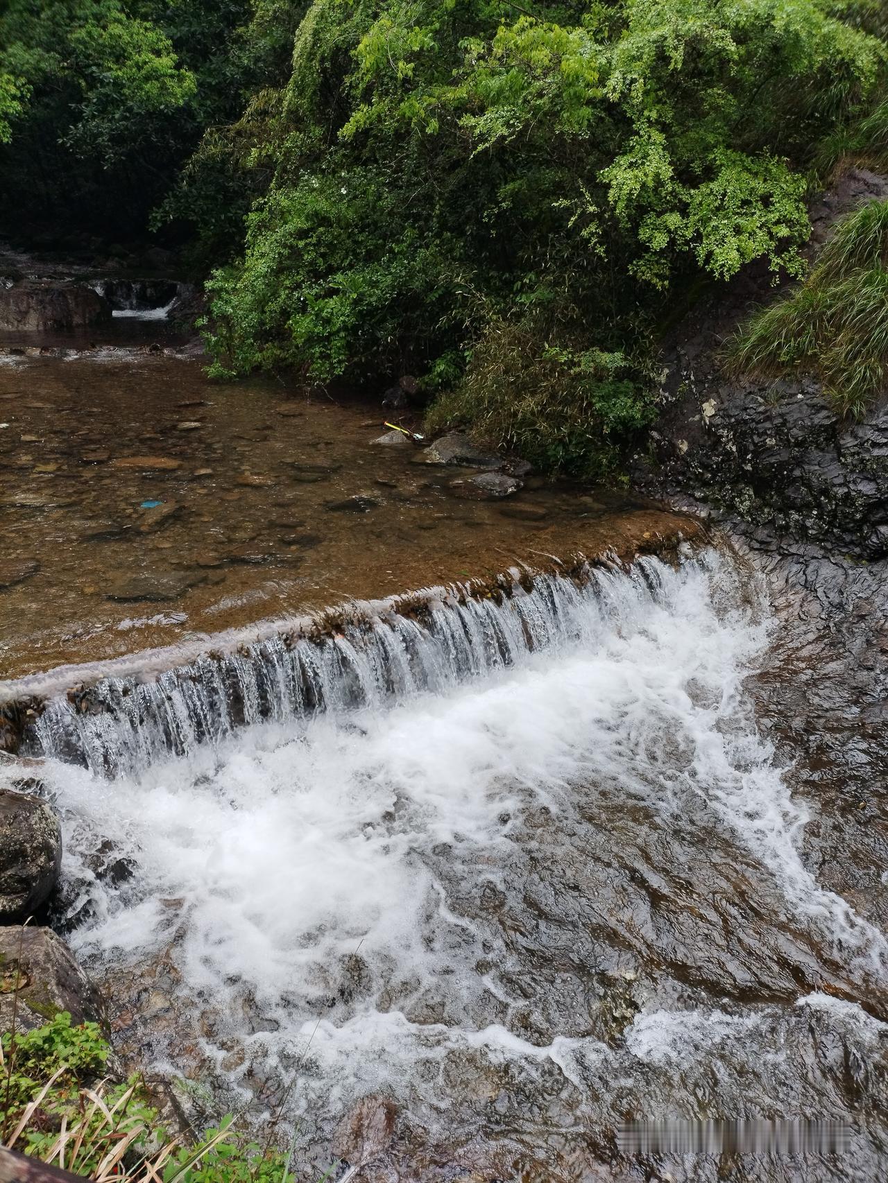 我在义乌马路上可以看见外国人，这个和在上海一样，在马路上也可以看见外国人。
