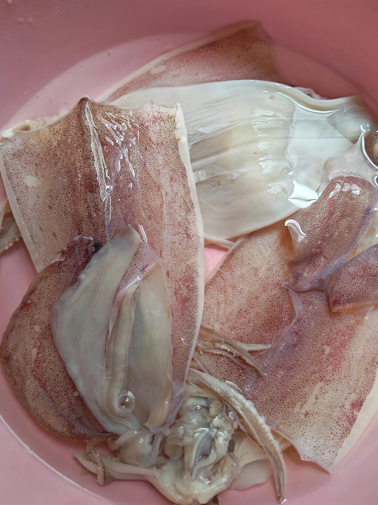 新鲜海捕鱿鱼，海边人的家常美味
 
刚处理好的新鲜大鱿鱼，表皮带着天然淡红小斑点