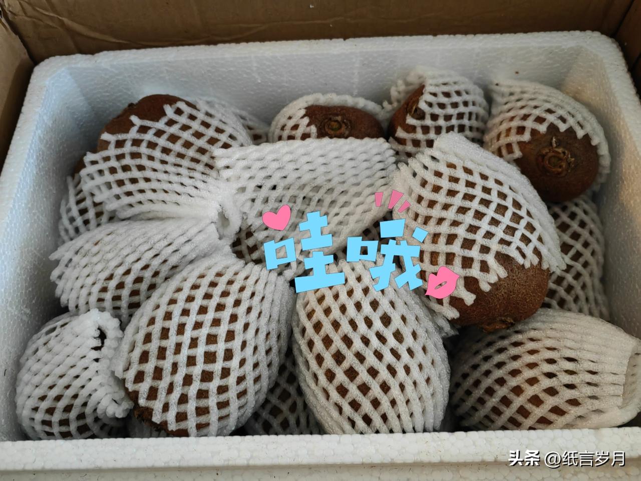 秋天收到的第一箱猕猴桃🥝，也是纸言的爱心果果。

以后每天都守旁边看一会儿，顺