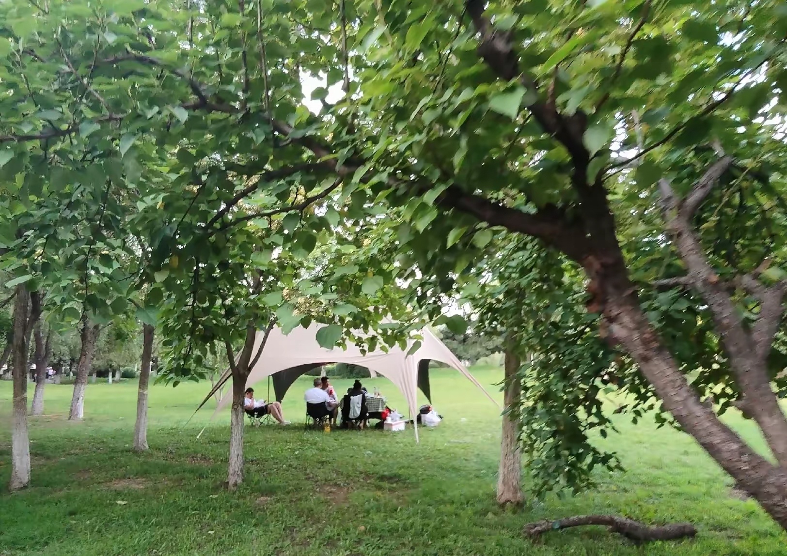 帐篷遮不住的时代焦虑：审视当下青年户外松弛热潮 