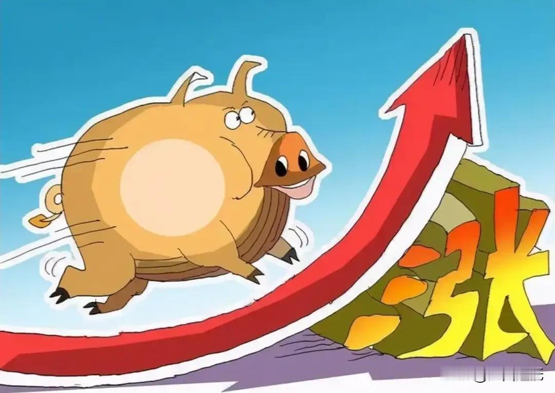 刚实现没几天的猪肉自由，说没就没了！菜市场五花肉一路飙升，排骨更是贵得离谱，买菜