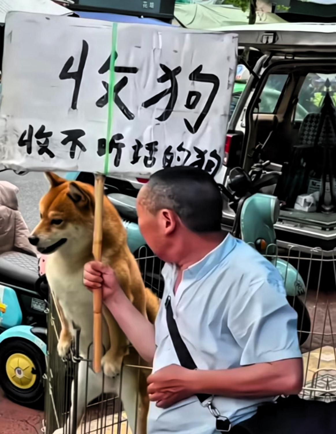 狗喂饱了，不看门，
人惯坏了，不感恩，
心太软容易被拿捏，心太善没人把你当回事。