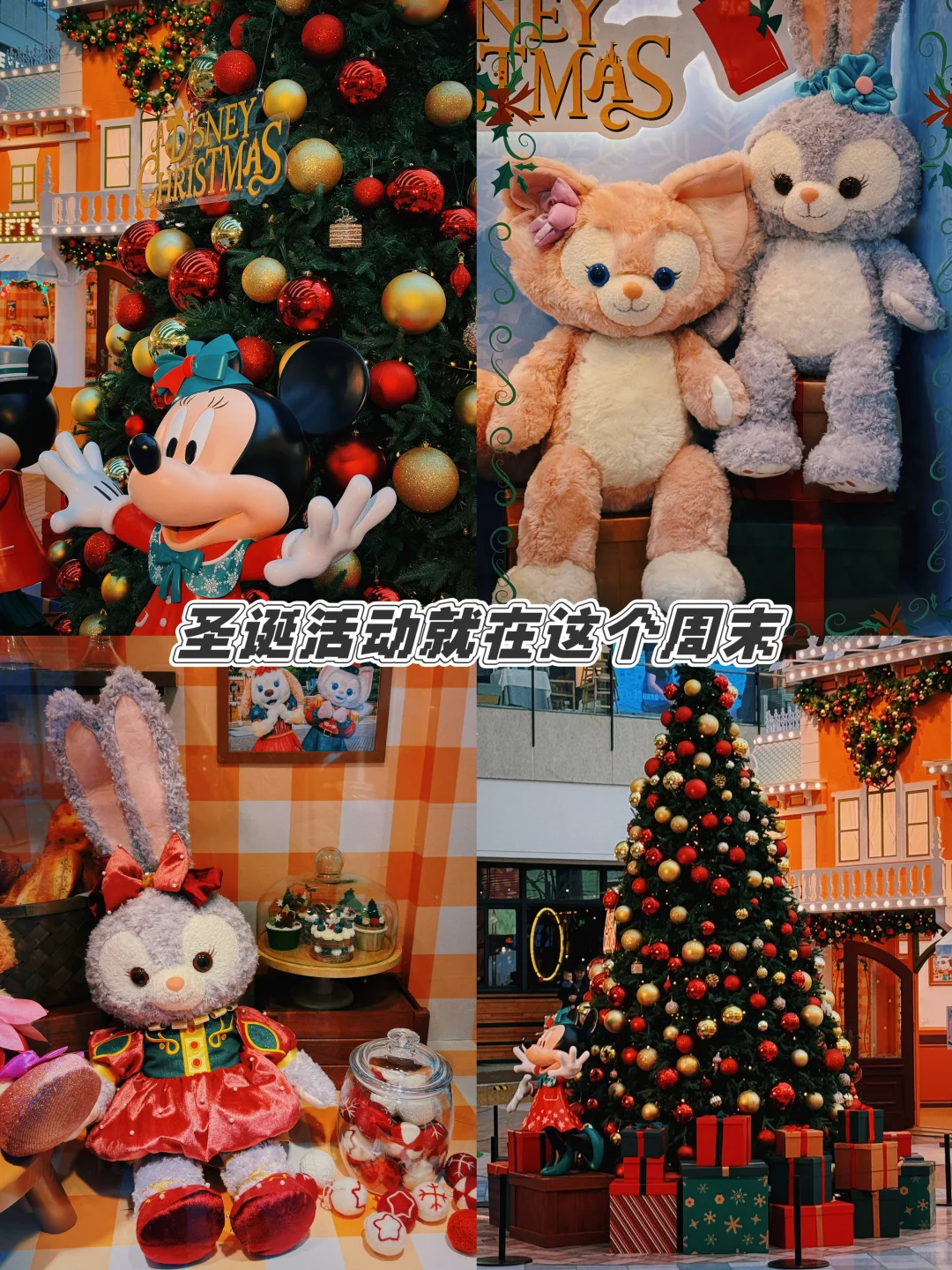 12.20，贝儿在北京陪你过圣诞🎄（附圣诞活动）