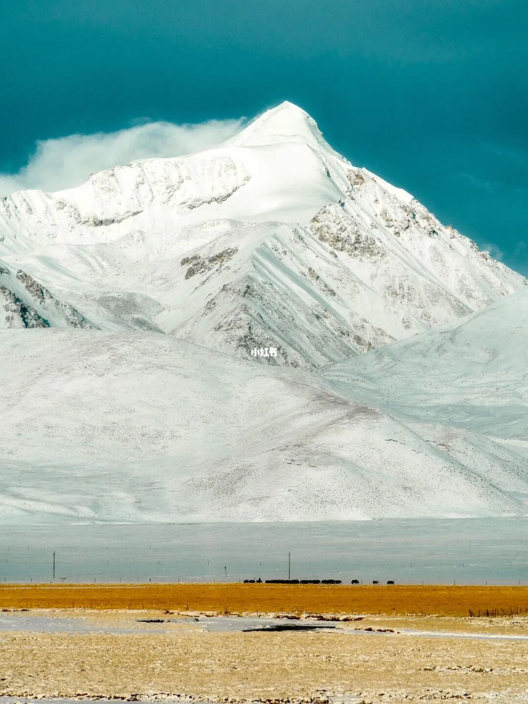 用一张照片开启冬天的故事