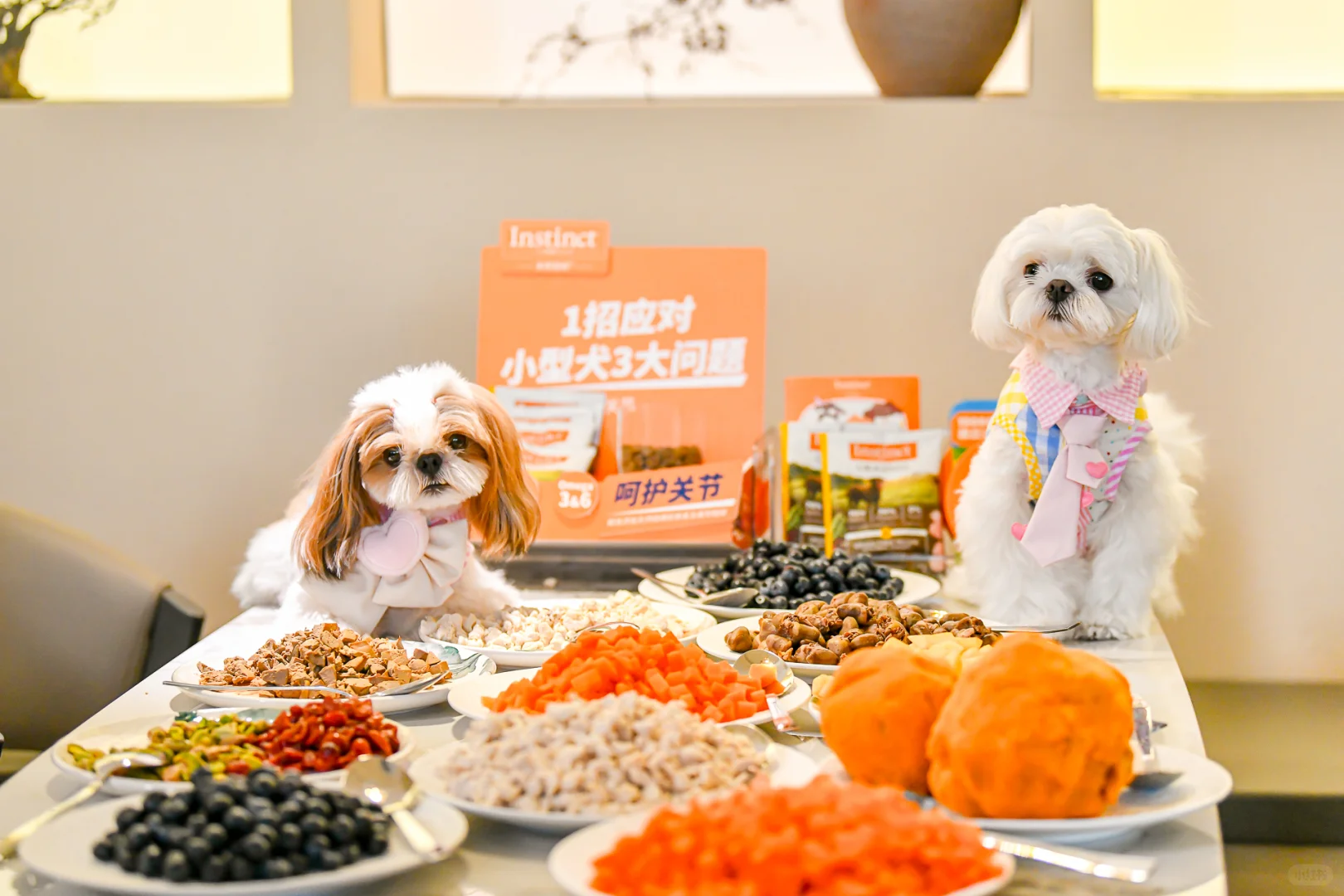小狗厨房|Diy自制撒欢吃！开炫🍊🍊🍊