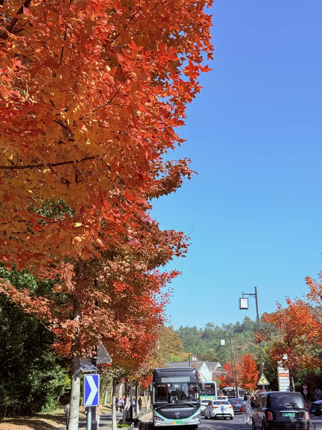 通知❗苏州天平山枫叶🍁已进入最佳观赏期～