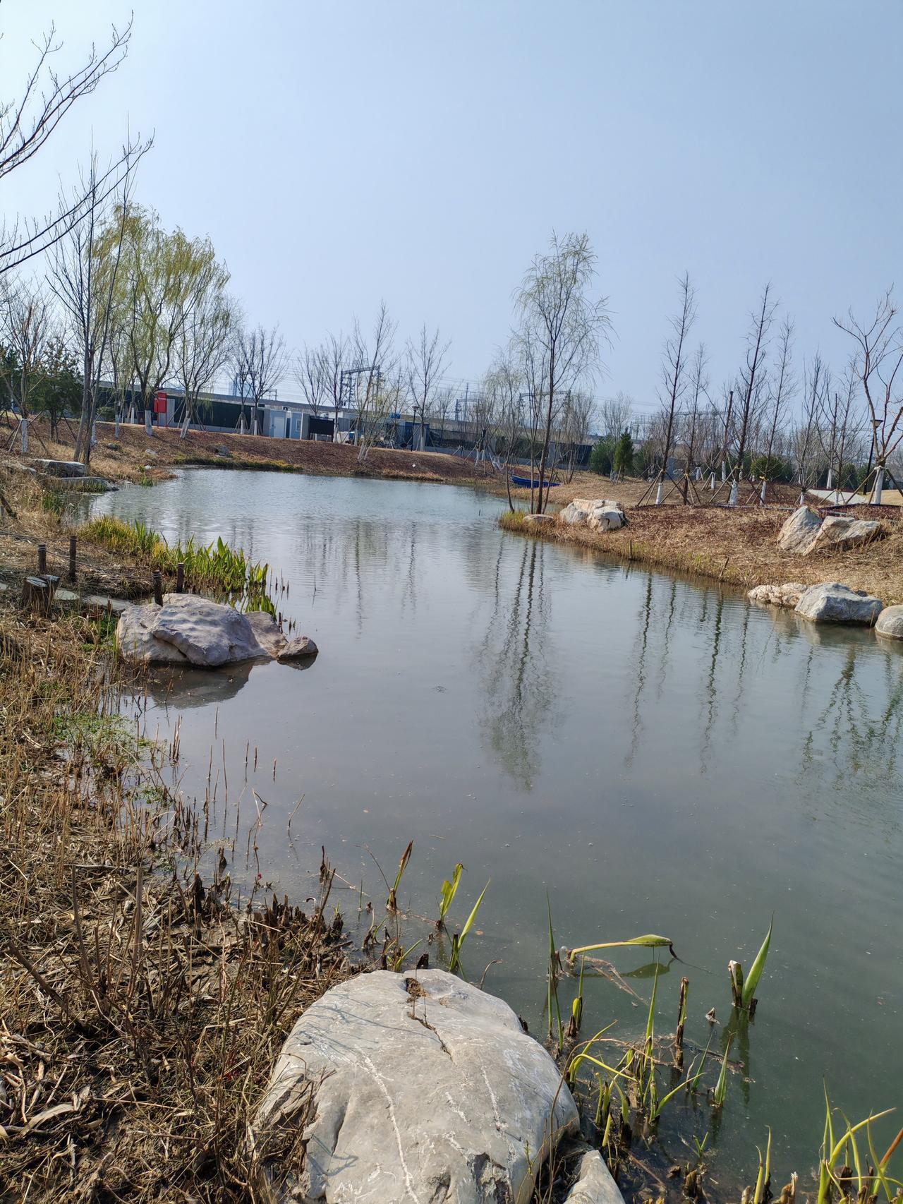 《河边》
河边景色宜人，水草丰茂，白沙晶莹。那不知名的小白花，仿佛并无争奇斗艳之