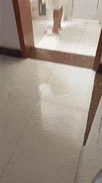 为了美，这点牺牲算什么