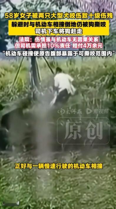 山东青岛，58岁女子在村里步行时，突然遭遇两条大型犬扑咬，女子吓了一跳，赶紧躲避