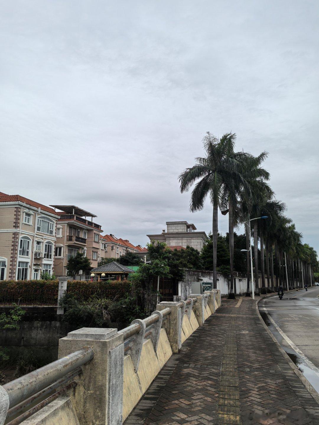 今天广州气温舒服，就是湿度大了点。 