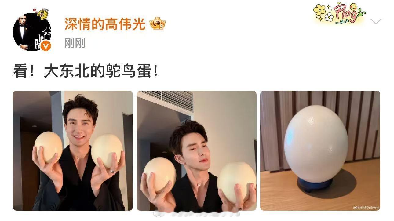 高伟光捧的鸵鸟蛋和头一样大高伟光捧着鸵鸟蛋拍照真的笑不活了，高伟光双手捧着两颗硕