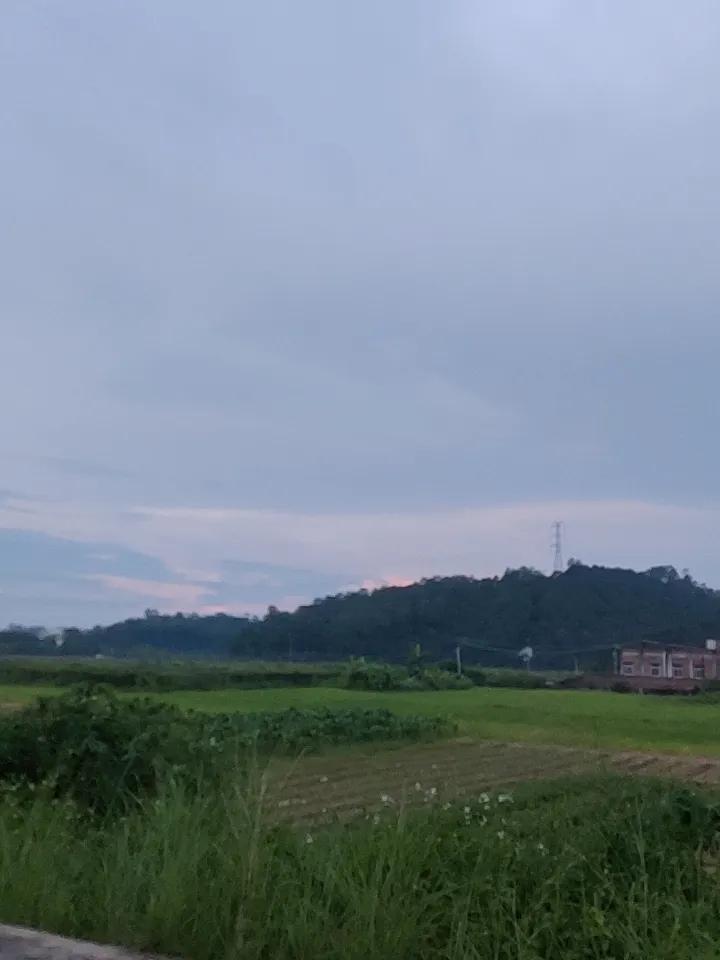 上周回了趟老家，傍晚吃完饭懒得刷手机，拎着半瓶冰可乐往村头走。
田埂边的稻穗还沾