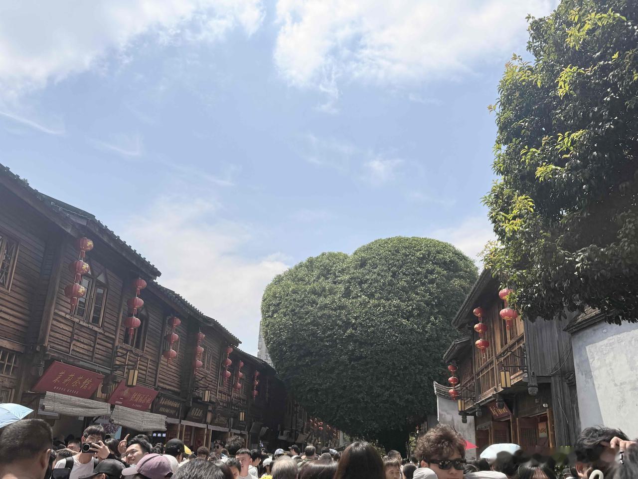 福州三坊七巷打卡！

终于见到传说中的爱心树啦💚

来有福之州，做个被温柔宠爱