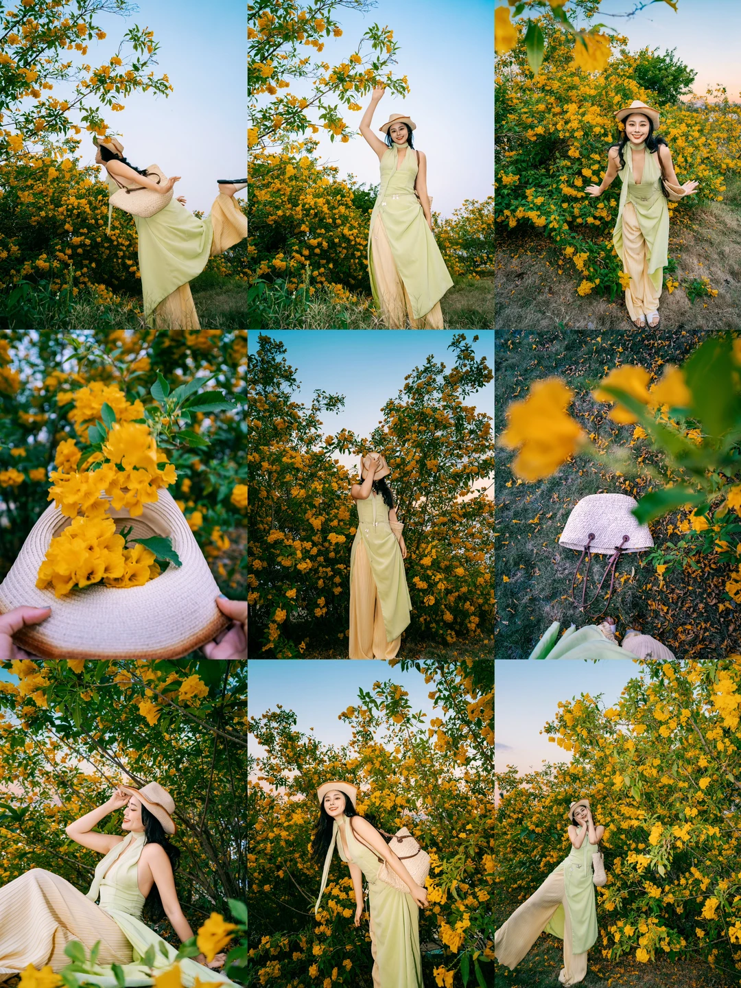 colorwalk｜交换海口的黄🌼