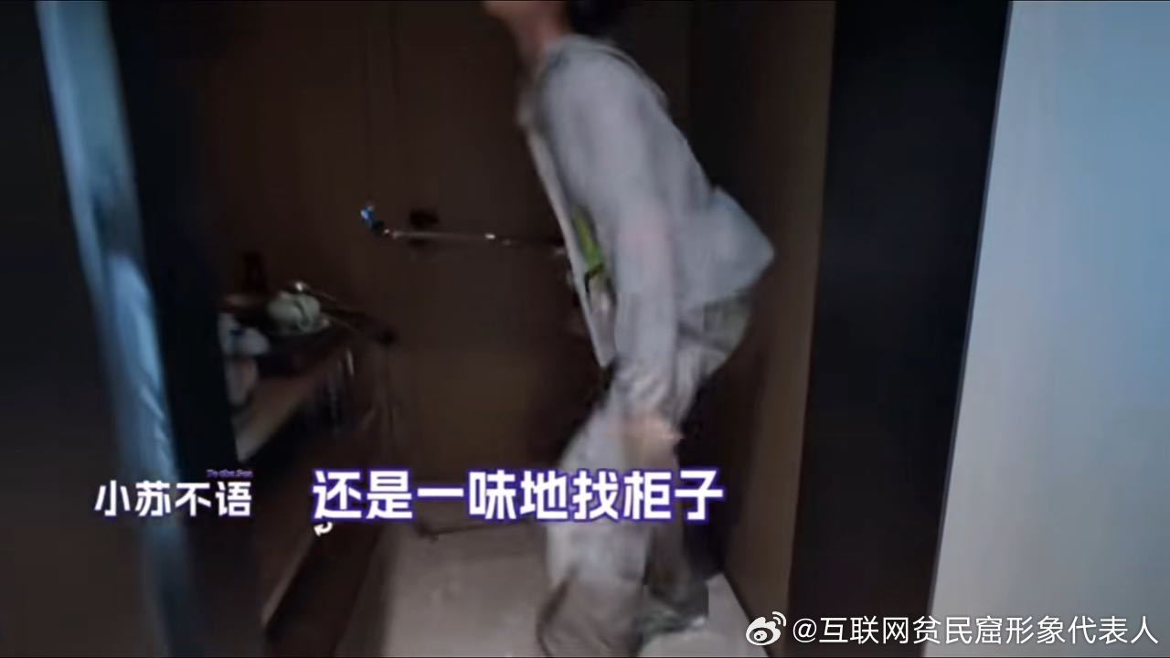 苏新皓不语只是一味地找柜子我做无用功就苏新皓这样一路向海的少年 苏新皓找盒子这段
