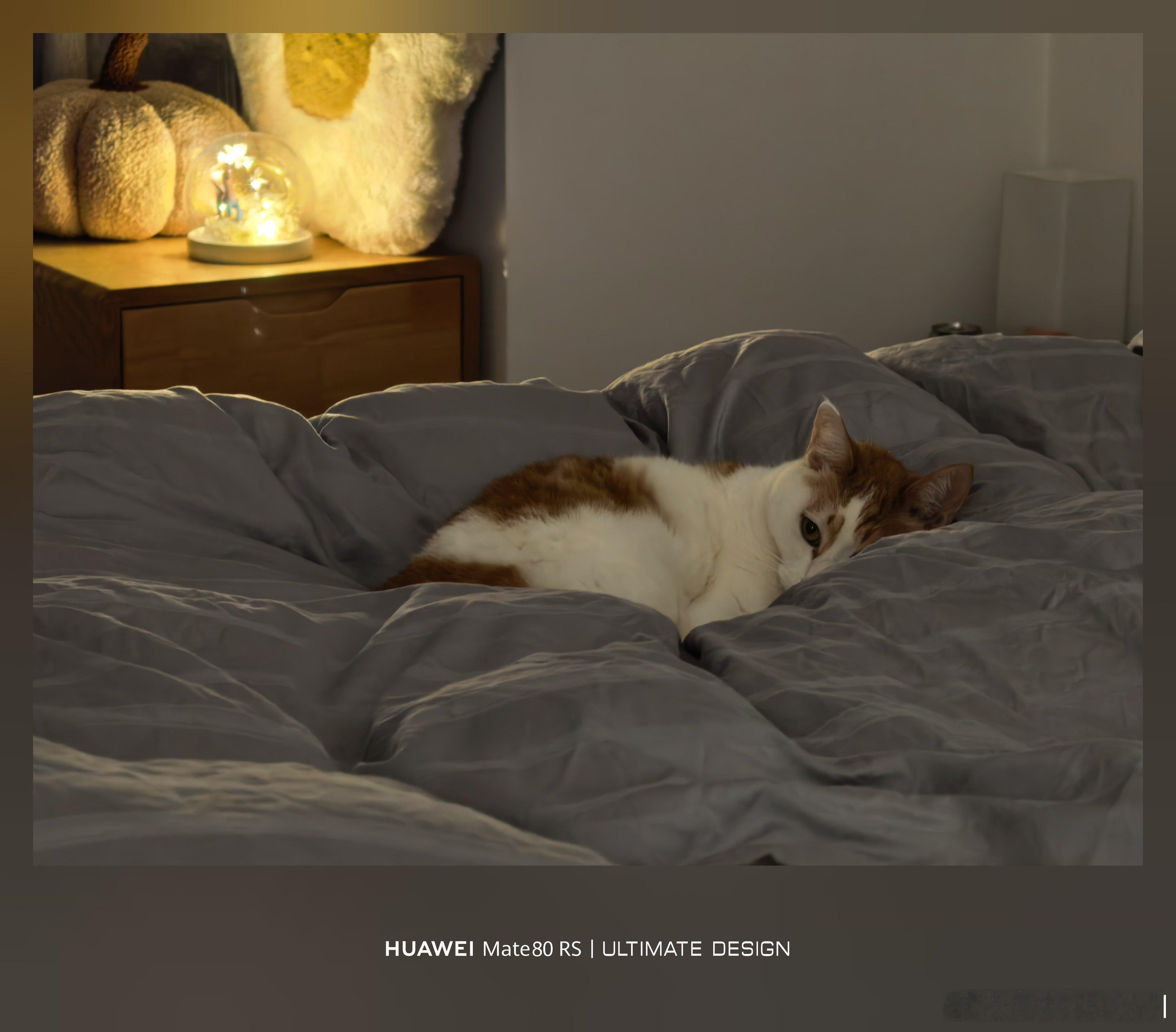 橘二自己在卧室里睡觉觉，发现我拍照，睁开了眼睛看我