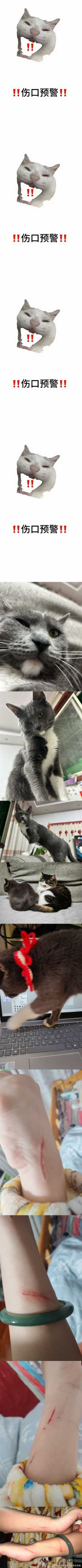 49363【伤口预警】【英国女人心灵丑】一个词——吹风机 