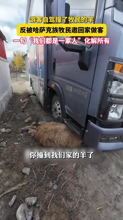 “上央视新闻了！”
新疆阿勒泰，一女子自驾游时，不小心撞到了牧民的羊，羊腿骨折活