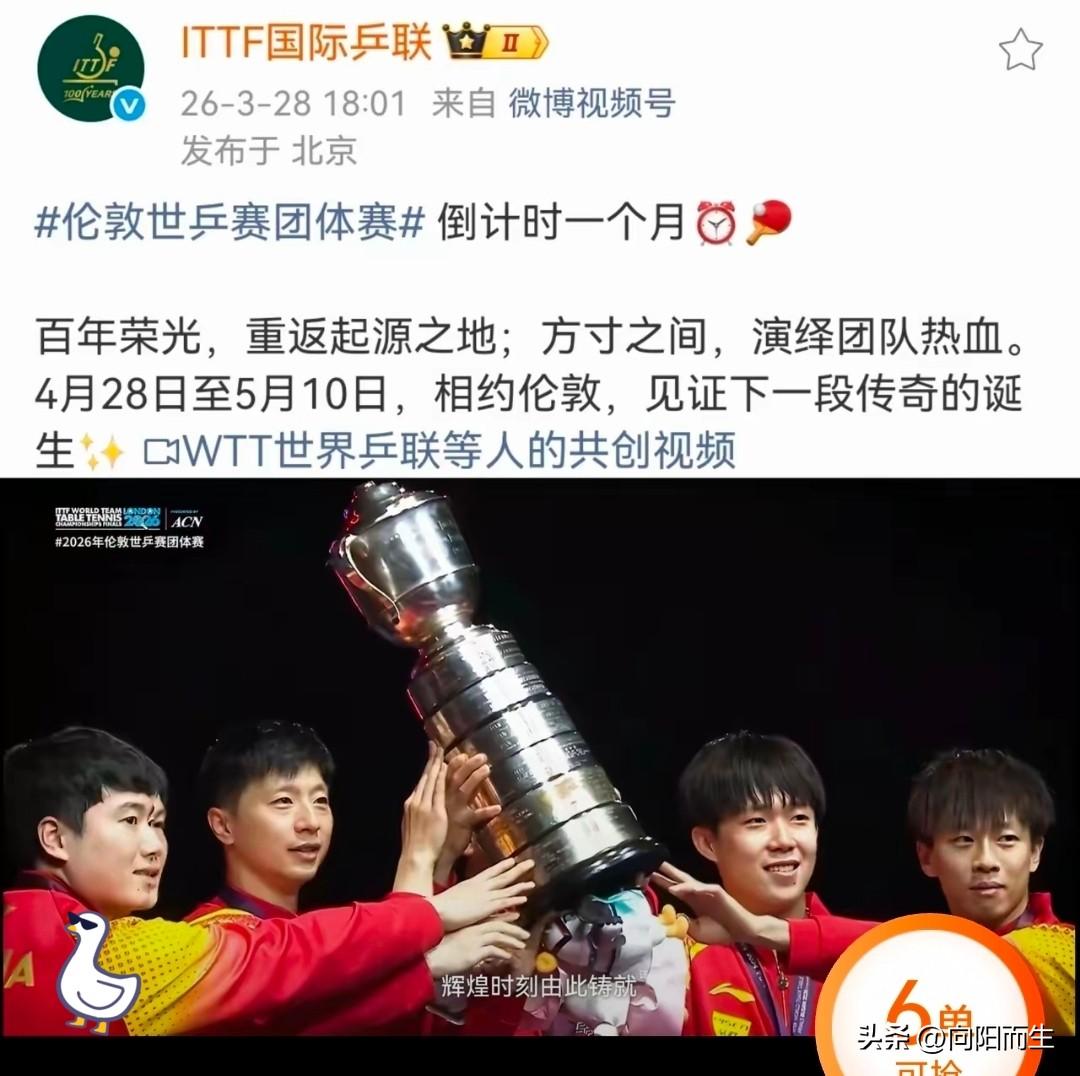 樊振东啥实力？
釜山世乒赛八战全胜的MVP，
国乒绝对核心！

官方库里清晰合照