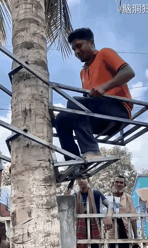 太实用了，上树人的福音～