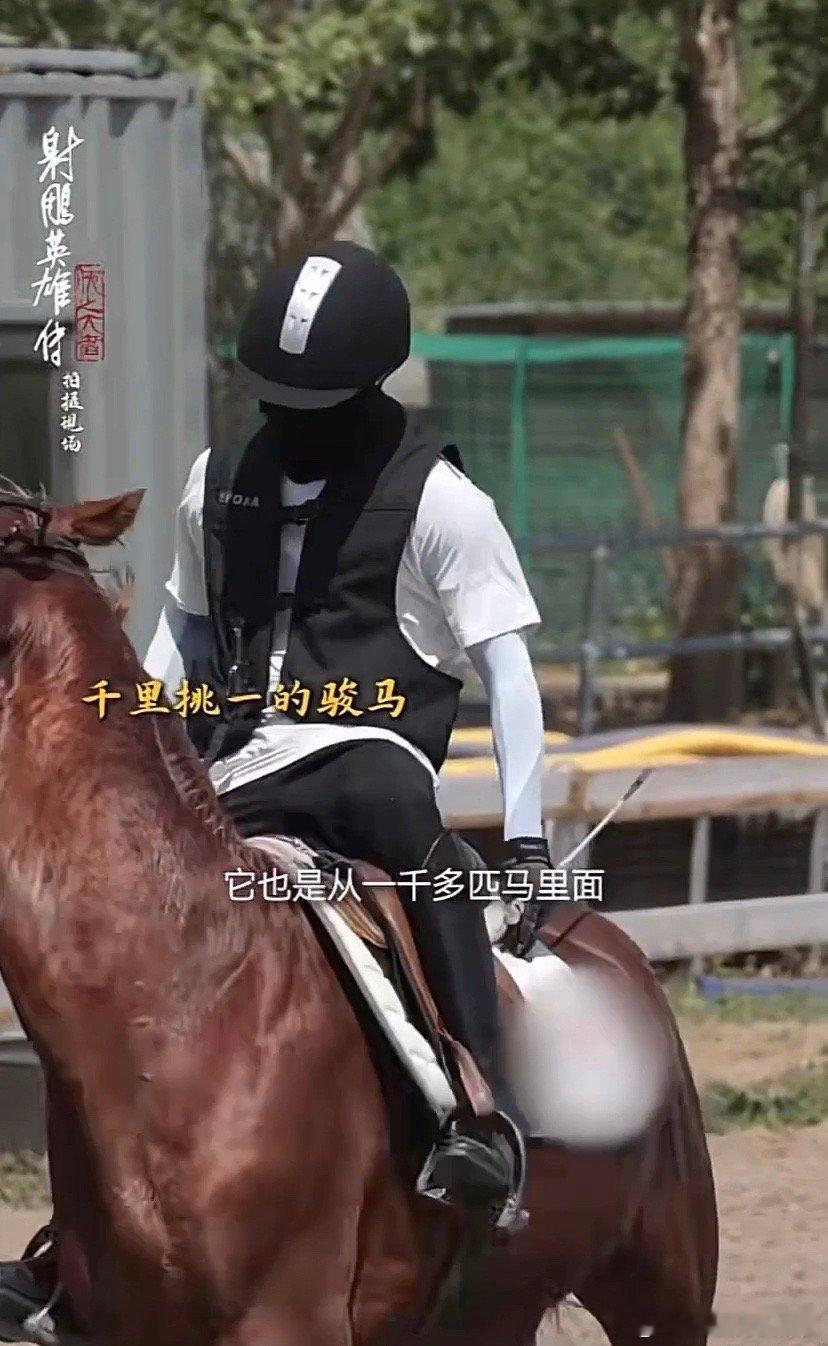 肖战射雕素颜训练花絮曝光！看他如何演绎郭大侠驯服那既烈又高傲的汗血宝马，精彩呈现