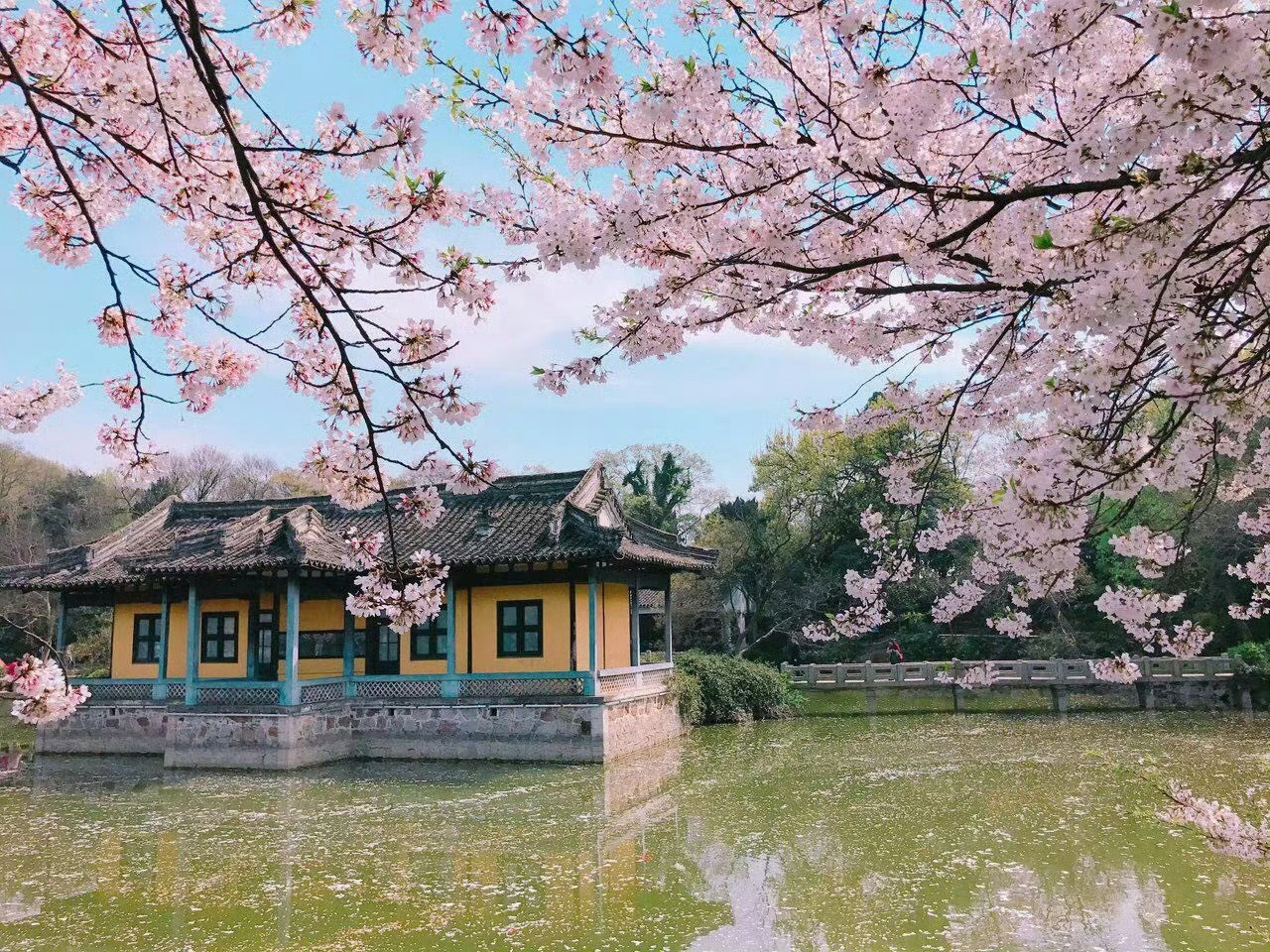 春天的无锡，静谧且有诗意，感性但不矫情。 