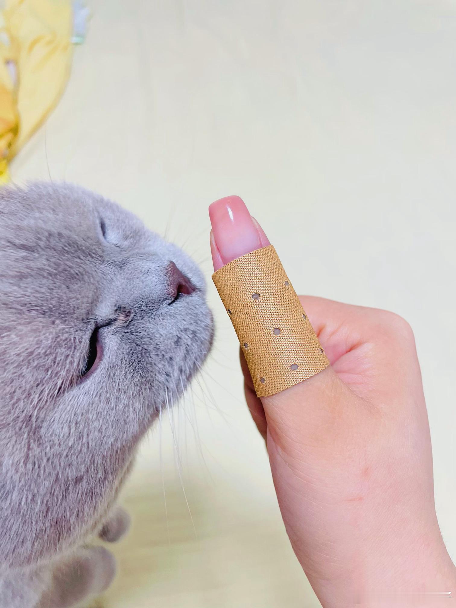 辛苦了给各位点个赞 