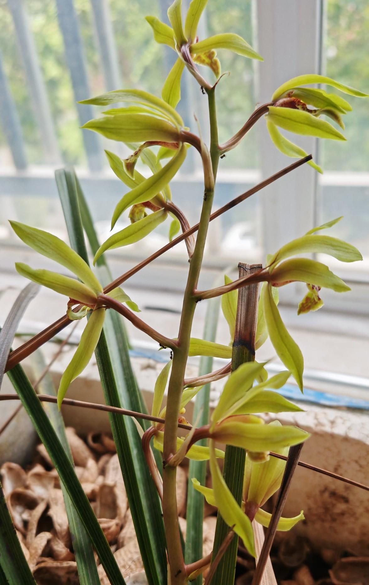 儿子今年初三，下半年就该上高中了，不论是普高还是职高，现在全都得靠他自己。
前两