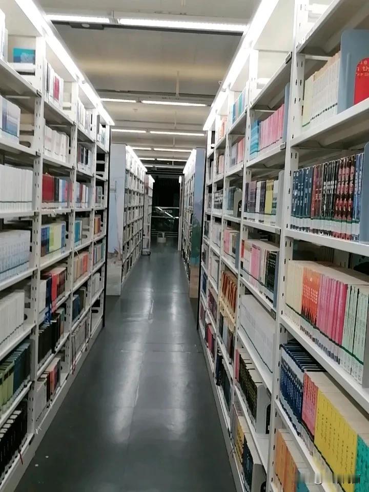 在广州图书馆看书是种很棒的体验。这里资源丰富，馆藏文献和数字资源能满足不同需求。