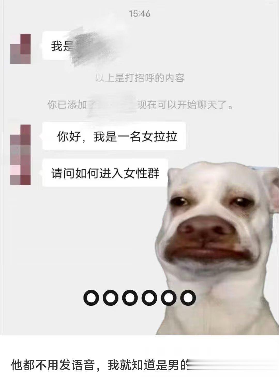 啊啊啊啊啊啊笑得我头痛 ​​​