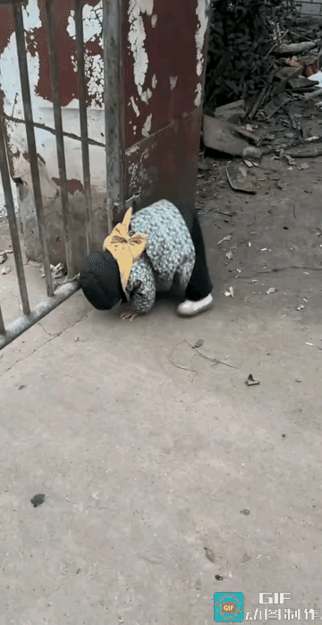 原来如此，让爷爷到处寻找。