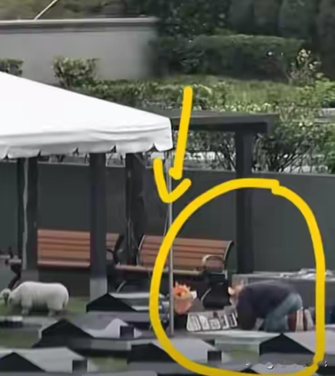 从网上看到具俊晔这一年来，几乎每天都在陪伴亡妻。并且拍了纪录片在韩媒那边播放。