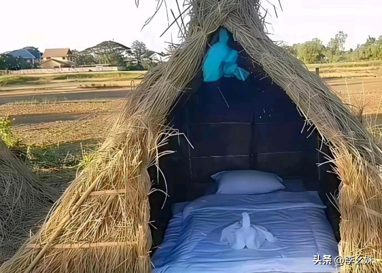 田园风酒店，不得不说，城里人的钱真好赚。