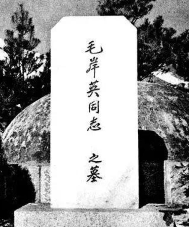 1955年，中央派人前往朝鲜将毛岸英坟墓迁回国，可当大家刚开始挖，就突然跑过来一