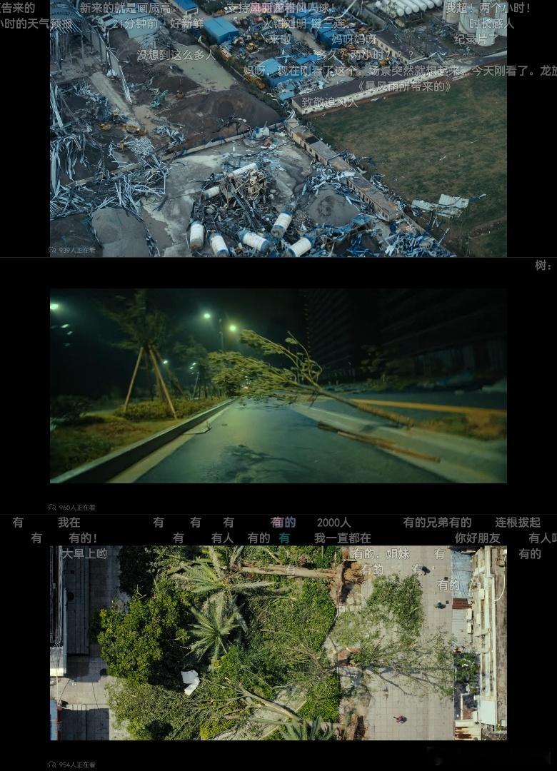 00后顶着台风自制纪录片 发现一部宝藏台风纪录片！00后导演风羽酱-sdk太敢了