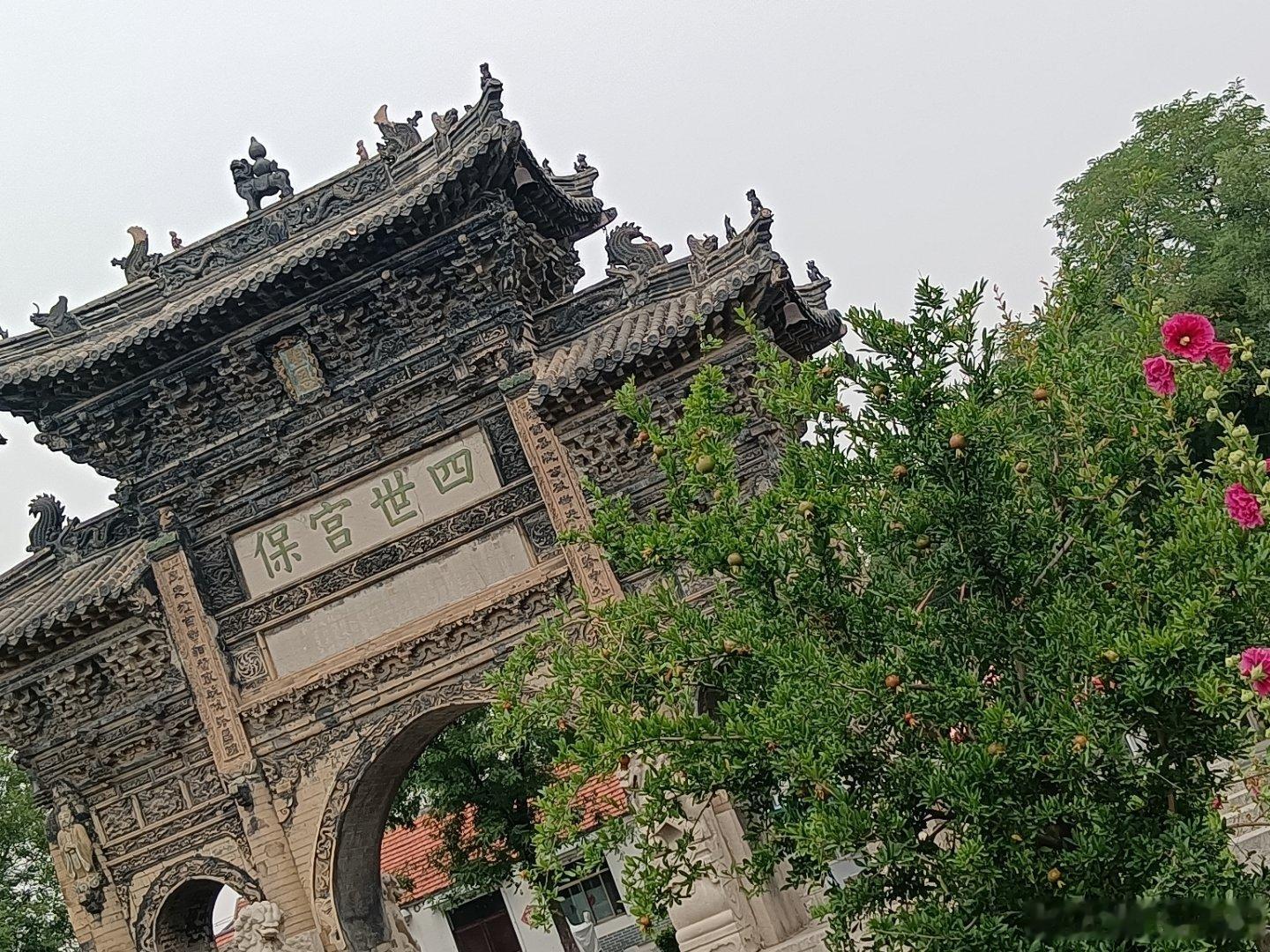 随手拍平凡岁月努力寻找心中的灿烂 