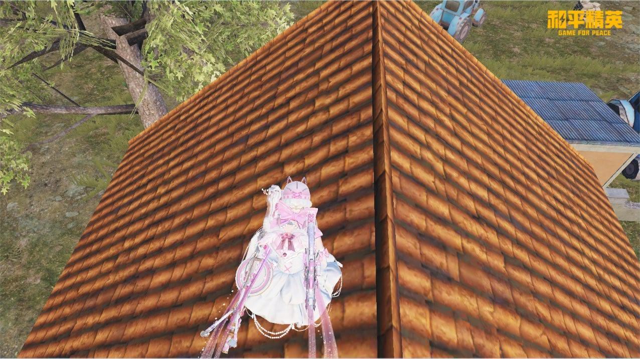 都是粉闪粉闪的