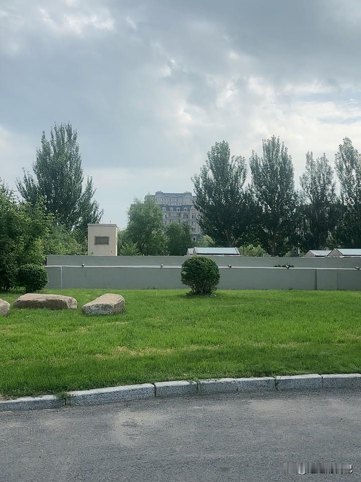 分享一下你随手拍下的早晨周围都鸟语花香，早晨出来空气清新，特别凉爽