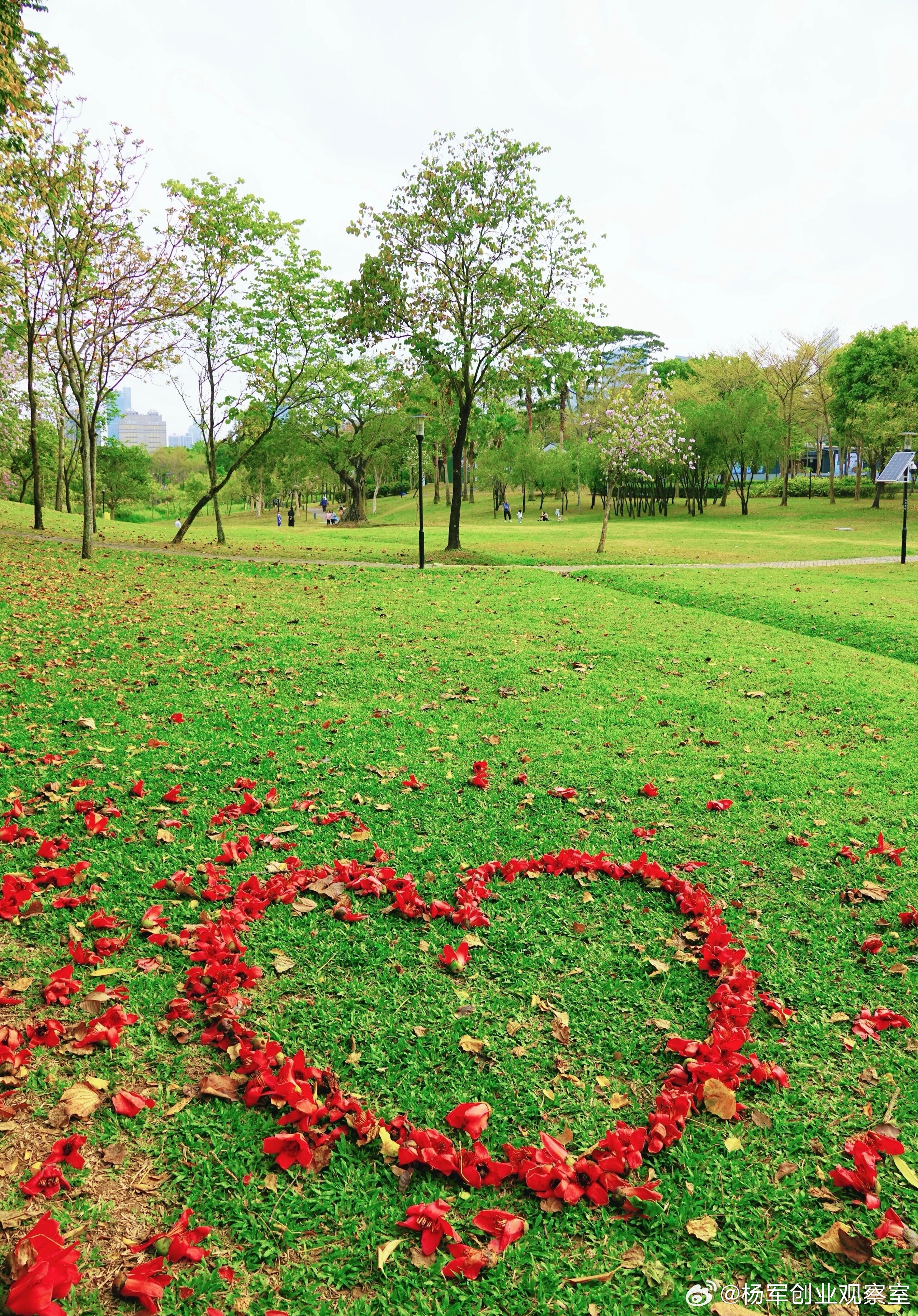 路演时总被问“卖点是什么”？真正要回答的其实是：你的技术、造型、功能…如何转化为