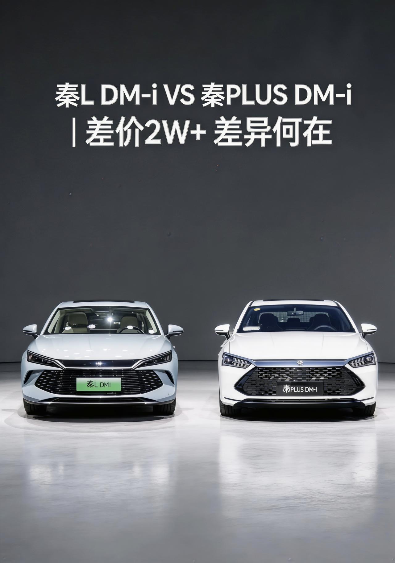 秦L DM-i vs 秦PLUS DM-i：差两万多，到底差在哪儿？
上周陪表弟