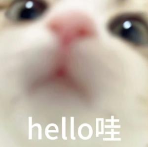 十二月你好呀*\(๑• ₃ •๑) 