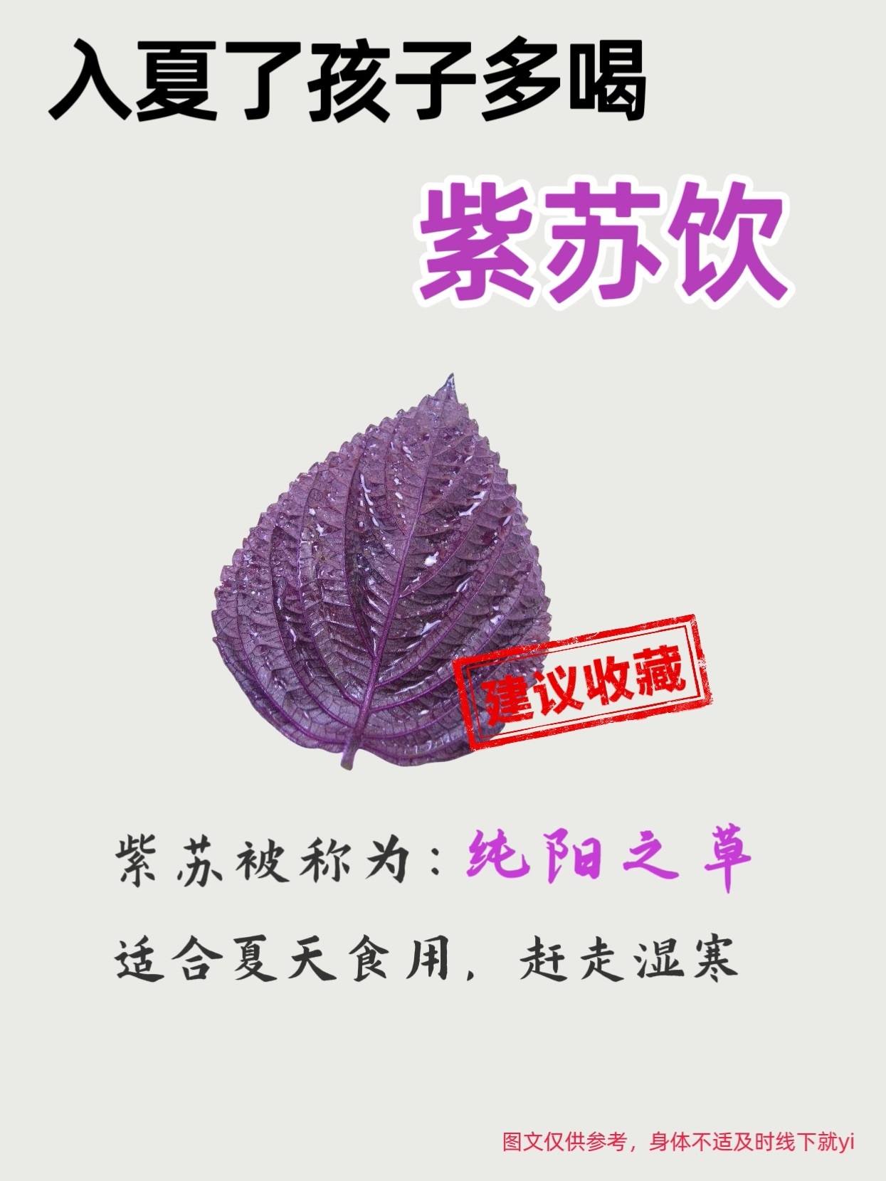 夏季必备8款紫苏饮品，小孩脾胃更健康！ ​​​