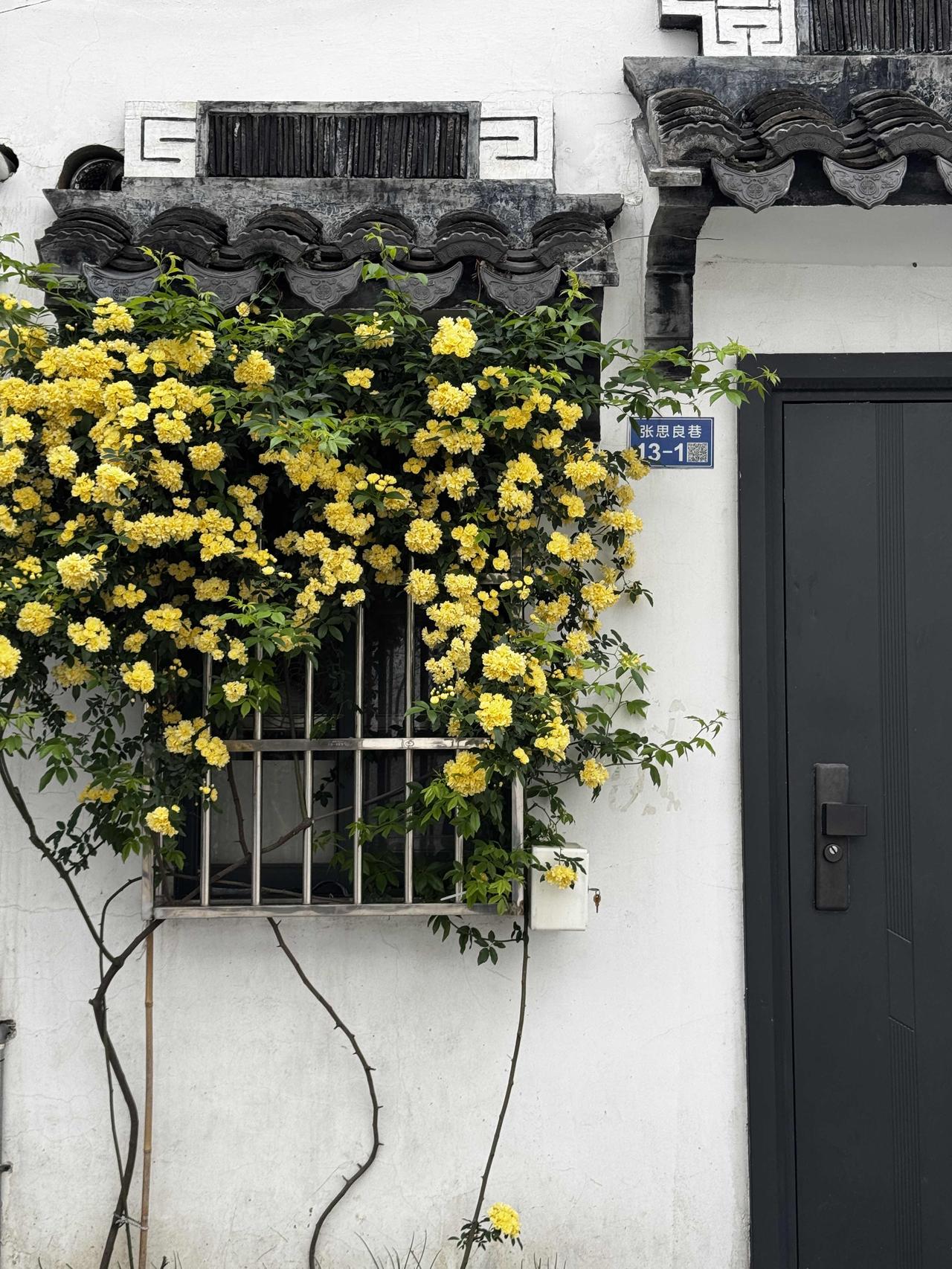 分享一张最近随手拍的照片在街道小巷能看到这种特色小景，给人心情美好与治愈。