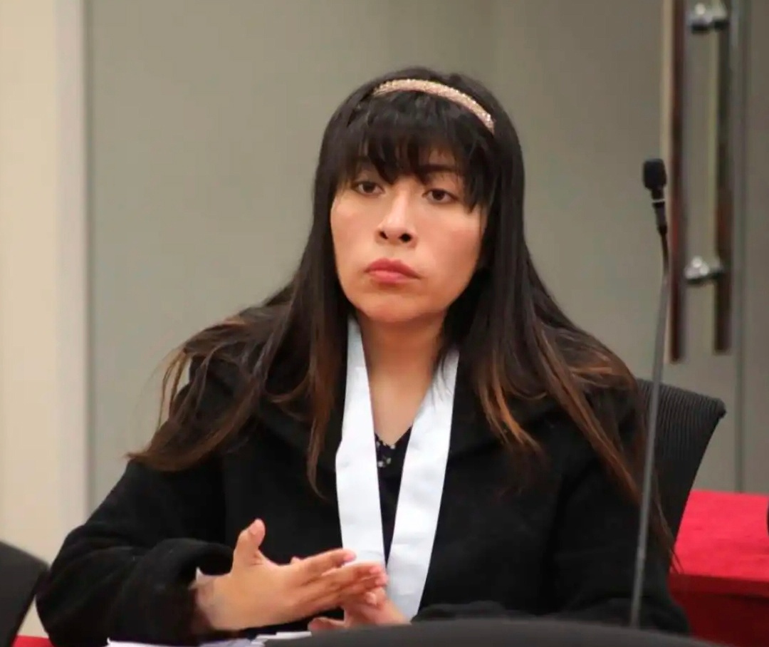 🇵🇪❗秘鲁外交部长乌戈·德·泽拉宣布，佩德罗时期的秘鲁部长会议主席贝齐·查韦