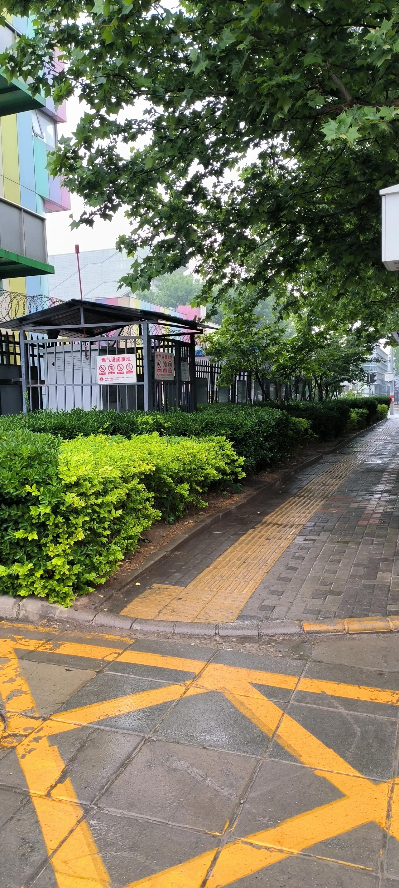 我将要去看白姐的那一片菜地


       前天，兼职打工的sh学院的同事胡汉