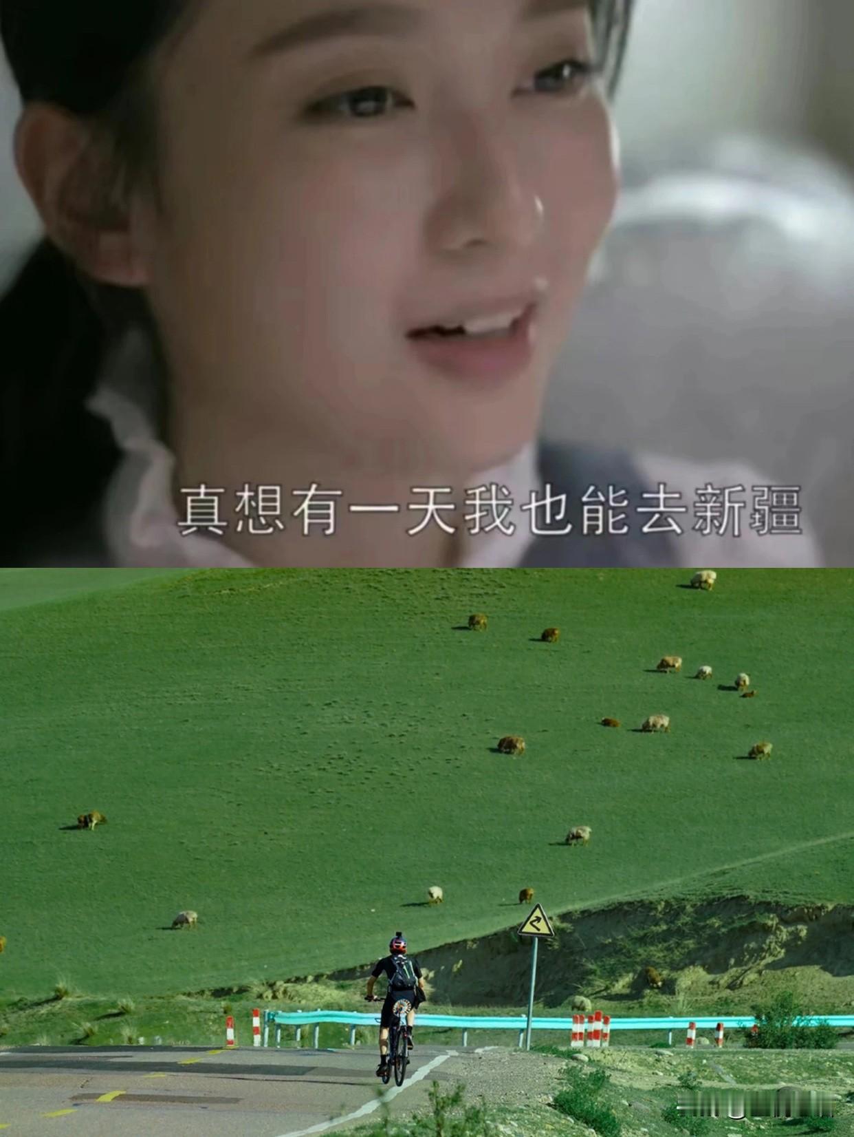 去新疆旅游的人，都栽在“上厕所”上了！

谁懂啊！到新疆才知道，找厕所比找美景还