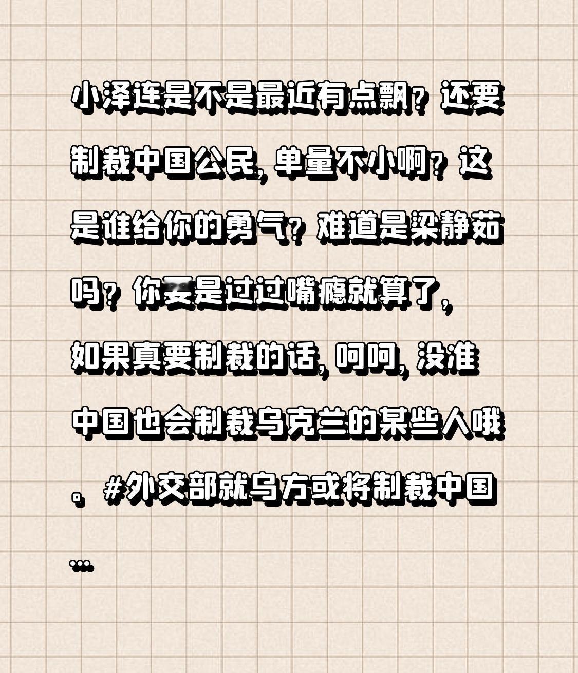 小泽连是不是最近有点飘？还要制裁中国公民，单量不小啊？这是谁给你的勇气？难道是梁