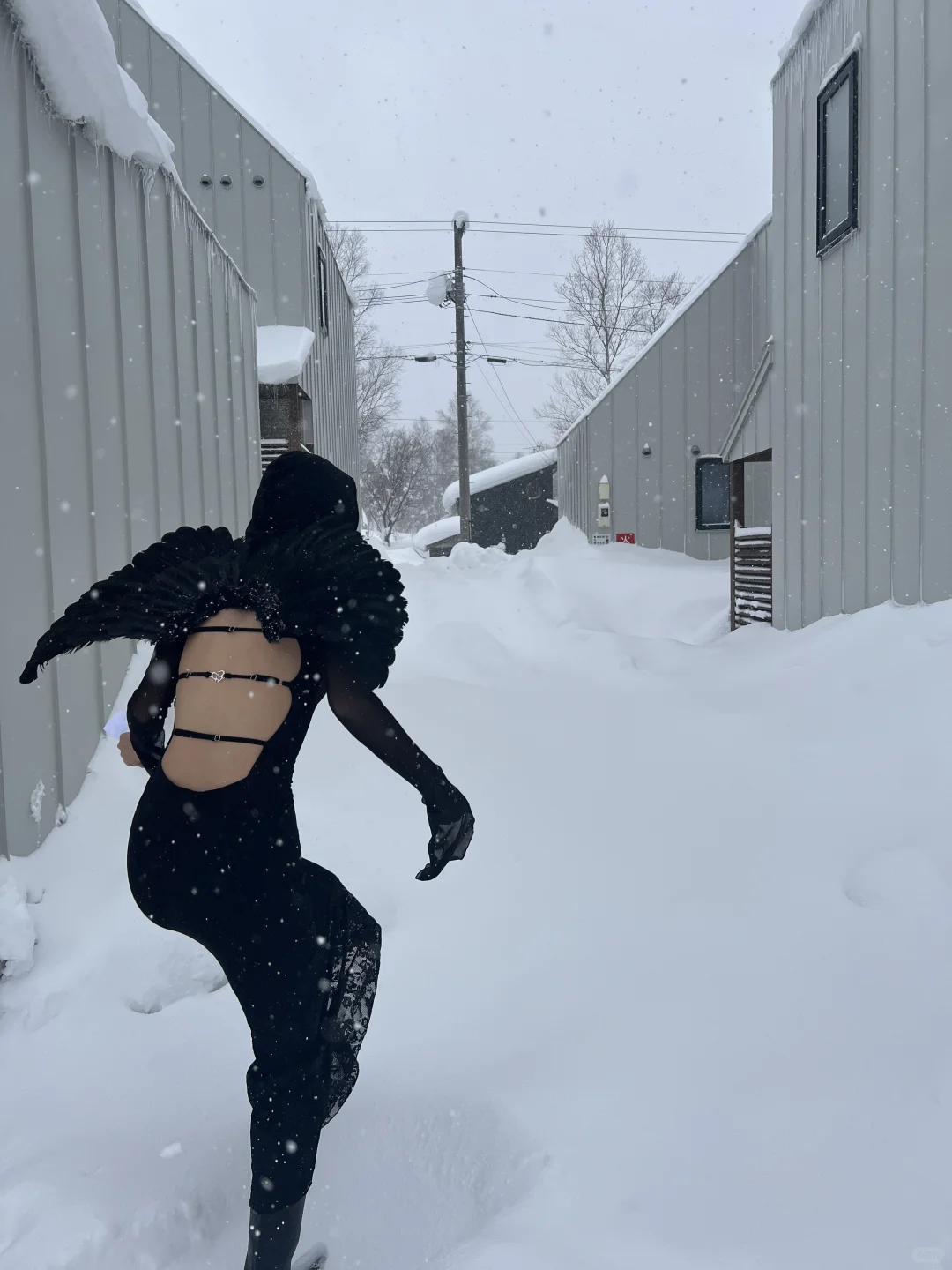 总在夏天怀念冬天☃️