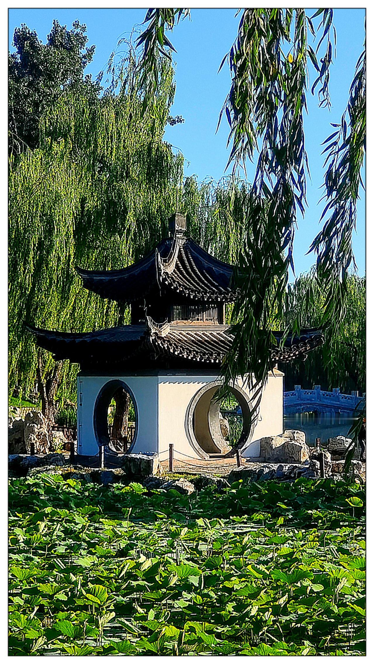 陶然亭，昨天手机拍照
