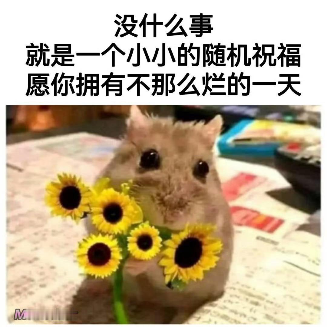 虽然今天周一 ​​​